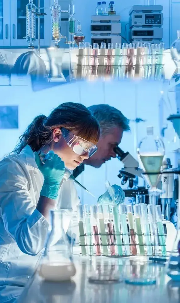 Clinical researchers testing natural ingredients in a modern laboratory. Scientific research and quality assurance for premium wellness supplements.